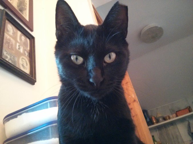 Happy Halloween from the Dark Knight!