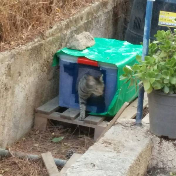 IMG_20191205_171305_861